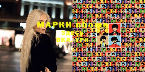 spice Кодинск