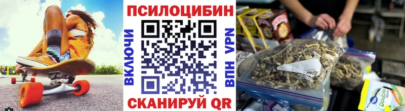 darknet какой сайт  Киренск  Галлюциногенные грибы Psilocybe  сколько стоит 
